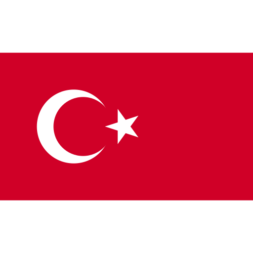 Türkçe